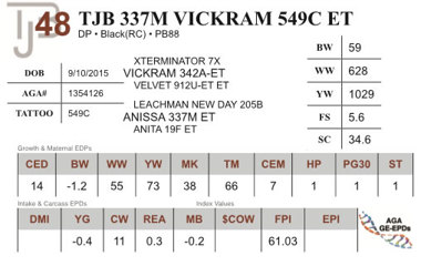 Lot 48 - TJB 337M VICKRAM 549C ET
